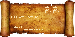 Pilner Petur névjegykártya